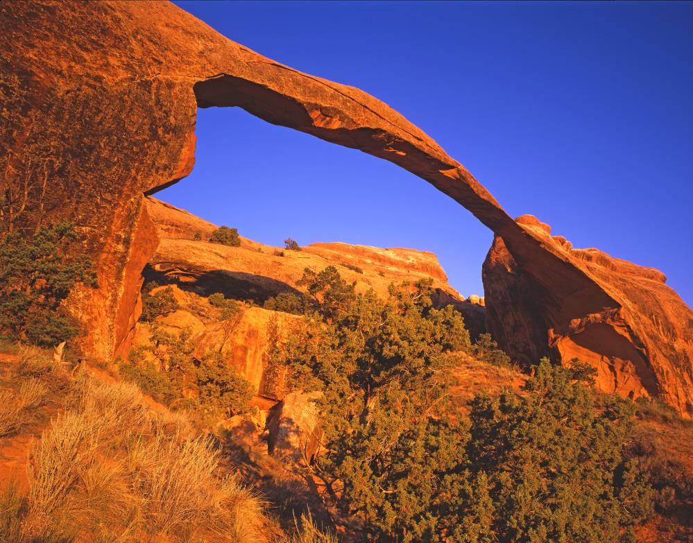 landscape arch at moab