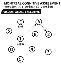 Image from written portion of a drivers test