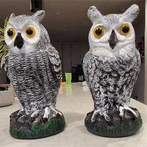 owl statues