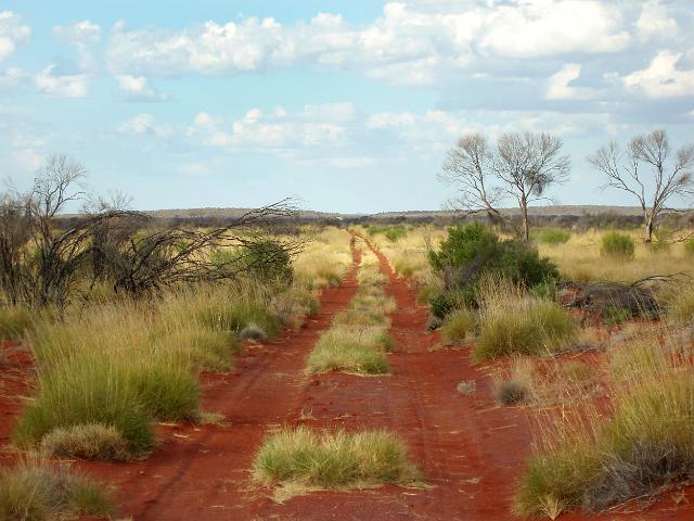 a pathway cutting through the desert