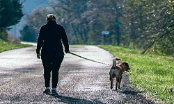 aging woman walking a dog